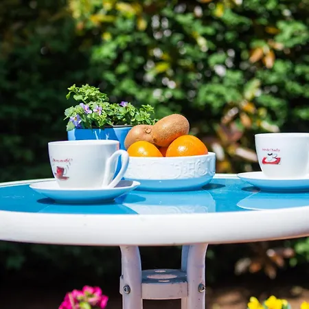 Oasis With Terrace